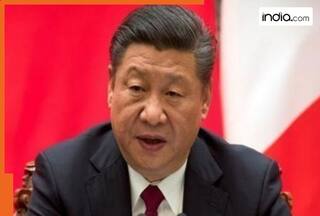 Bad news for China as the World Bank predicts GDP for 2025 to fall due to..