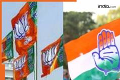 Revealed: Top donors to BJP, Congress, SP, TDP, DMK and other political parties, BJP got maximum money from...