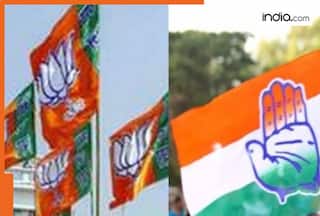 Revealed: Top donors to BJP, Congress, SP, TDP, DMK and other political parties, BJP got maximum money from...