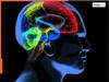 ब्रेन हेल्थ पर असर डालती है सोशल इनिक्वालिटी : Study