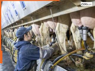 फ्रिज में रखे कच्चे दूध में पांच दिनों तक जिंदा रहता है फ्लू का वायरस : Research