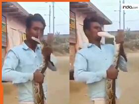 india.com top news