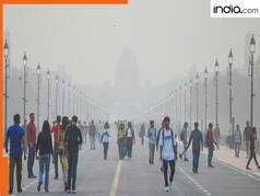 Delhi pollution update: Why national capital is choking even before Diwali despite negligible stubble burning in Punjab, reason is...