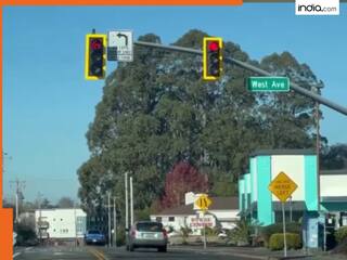 Video: कैलिफोर्निया में भूकंप का भयावह वीडियो सामने आया, देखिए क्या हुआ जब जोर से कांपी धरती