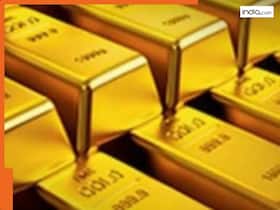 india.com top news
