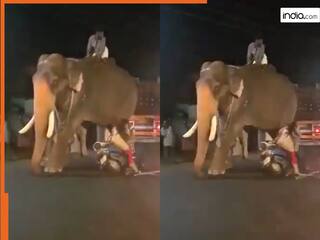 Scooty Girl Ka Video: सीधा हाथी को टक्कर मार बैठी स्कूटी गर्ल, फिर जो हुआ आंखें फटी रह जाएंगी | देखें वीडियो