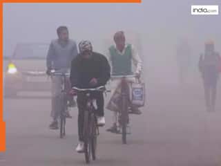 Delhi Weather: कड़ाके की ठंड, घना कोहरा... New Year से पहले IMD ने दिल्ली के लिए जारी किया अलर्ट