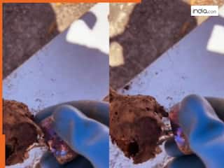 Viral Video: खुदाई के दौरान मिली इंसानी हड्डी, उस पर चिपका हुआ था कुछ, वीडियो देखकर हिल गए लोग