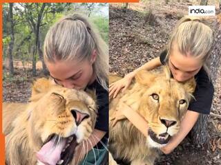 Sher Ka Video: ये महिला है या शेरनी! शेर को गोद में बैठाकर प्यार से चूम रही औरत का वायरल वीडियो देख दंग रह जाएंगे आप