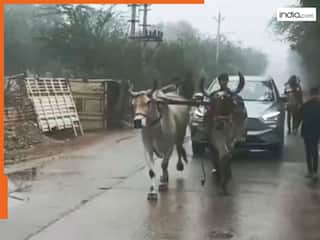 रास्ते में बंद हो गई नेता जी की इलेक्ट्रिक कार, गाड़ी के आगे बांध दिए दो बैल- वीडियो देख भड़के लोग