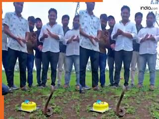 Sanp Ka Video: सांप से केक कटवाने पहुंच गए लड़के, तभी दिखा ऐसा नजारा होश उड़ जाएंगे | देखें वीडियो