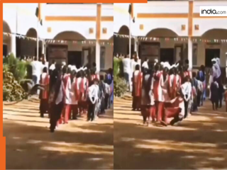Bandar Ka Video: बंदर की रडार पर आ गई स्कूल गर्ल, चुपके से आया और पटककर भाग निकला | देखें वीडियो