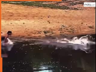 Magarmach Ka Video: नशा चढ़ते ही मगरमच्छ पर कूद गया बंदा, फिर जो हुआ खुद देख लीजिए | देखें वीडियो