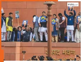 india.com top news