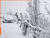 Weather News: बारिश के बाद दिल्ली में बढ़ी ठंड, हिमाचल में बर्फबारी से 4 लोगों की मौत, जानें बाकी राज्यों का हाल