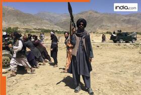 india.com top news