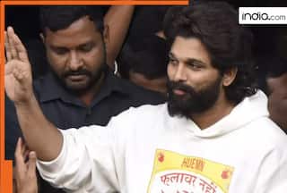 Pushpa 2 actor Allu Arjun breaks silence after he walks out of jail: 'There is nothing...', Watch video