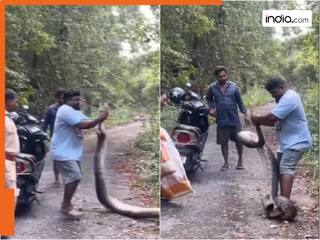 अजगर को एक हाथ से पकड़ ले गया शख्स, Viral Video देख लोगों के छूटे पसीने