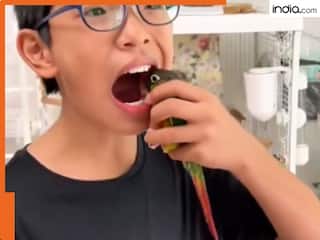 Viral Video: ये तोता है या दांत का डॉक्टर! डेंटिस्ट से भी तेज निकला मिट्ठू, वीडियो हैरान कर देगा, देखिए