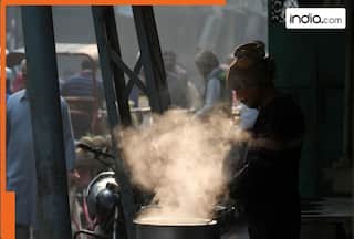 Weather update: Delhi on orange alert for fog, freezing temperatures grip Srinagar, harsh cold hits Punjab & Haryana; IMD issues alert