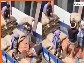 Funny Video Today: मिल गए दुनिया के 4 सबसे बुद्धिमान लोग, दिमाग ऐसा माथा पीटने लगेंगे आज | देखें वीडियो