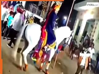Funny Video: मौका देख दूल्हे को लेकर फरार हो गई घोड़ी, एक दूसरे का मुंह देखते रह गए बाराती | देखें वीडियो