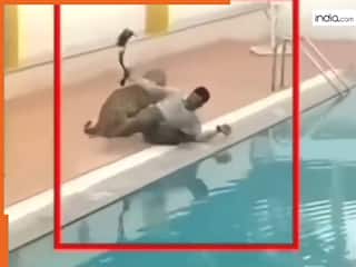 Wild Animal Video: अचानक स्विमिंग पूल कोर्ट में घुस गया तेंदुआ, फिर जो हुआ हिल ना जाओ तो कहना | देखें वीडियो