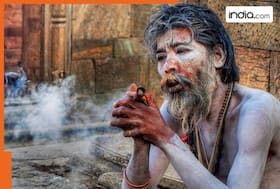 india.com top news