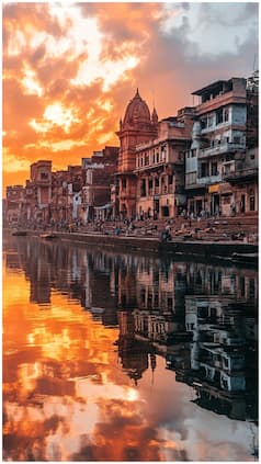 india.com webstories