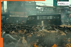 Biggest flop of South cinema, its not Kanguva, Indian 2, Radhe Shyam, earned 25% of its huge budget, only Rs...