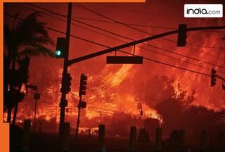 California wildfires: 7 killed, over 5000 structures damaged as flames sweep across Los Angeles, economic toll cross $50 billion