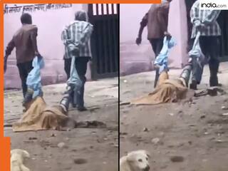india.com top news