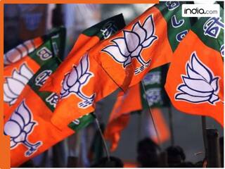 Delhi Elections 2025: दिल्ली विधानसभा चुनाव के लिए BJP ने जारी की उम्मीदवारों की दूसरी लिस्ट, जानें किसे-कहां से दिया टिकट