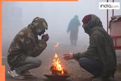 Delhi Weather Update: Dense fog engulfs national capital, AQI remains in 'very poor' category; minimum temperature drops to...