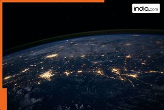 Shocking! Scientists predict THIS species could become the next ruler of earth