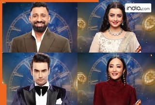 Bigg Boss 18 Grand Finale: When and where to watch, winner gets a cash prize of   , here's everything you need to know