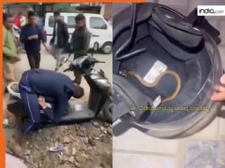 Sanp Ka Video: शख्स ने पहन लिया वो हेलमेट जिसमें छिपा था सांप, फिर जो हुआ सोच भी नहीं सकते | देखें वीडियो