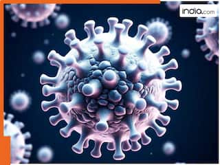 HMPV वायरस का नया केस, इस राज्य में 10 महीने की मासूम हुई शिकार; देश में अब तक 15 मामले हुए दर्ज