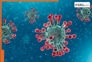 HMPV Virus in India: Two cases detected in Karnataka, confirms Health Ministry; Maharashtra Issues Advisory