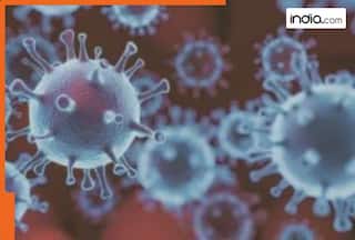 India Reports First Case of HMPV Virus in..., case reported from..., Govt asks people to stay vigilant