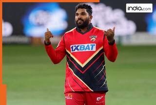 ILT20 2025: Desert Vipers claim top-two spot with big win over Gulf Giants