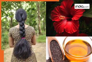 सरसों के तेल में मिलाकर लगाएं ये लाल फूल, पूंछ जैसी चोटी, हो जाएगी मोटी