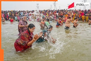 Mahakumbh 2025: Why is Mahakumbh trending in Muslim countries? Most searched keyword in THIS country due to...