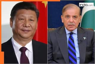 Pakistan caught in China's Gwadar trap? Islamabad buried in debt while trying to outmatch India in...