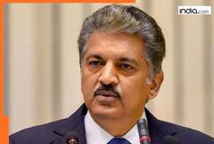 Bad news for Anand Mahindra, this company shares declines by…, after q2 net profit falls down to…
