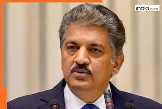 Bad news for Anand Mahindra, this company shares declines by…, after q2 net profit falls down to…