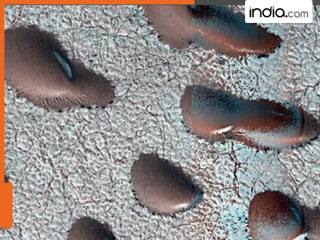 india.com top news