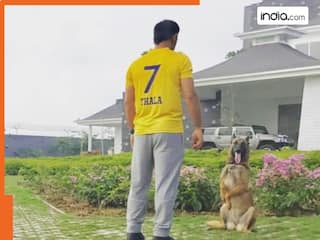 MS Dhoni और जीवा का नया वीडियो वायरल, अपने डॉग का यूं रख रहे ख्याल...