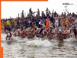 Maha Kumbh: इस राज्य से महाकुंभ जाने वाली विशेष बस सेवा को किया गया बंद, जानिये फिर कब शुरू होगी सर्विस...