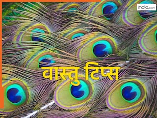 Vastu Tips: घर की इस दिशा में रख दें मोरपंख, पैसों से भर जाएगी तिजोरी